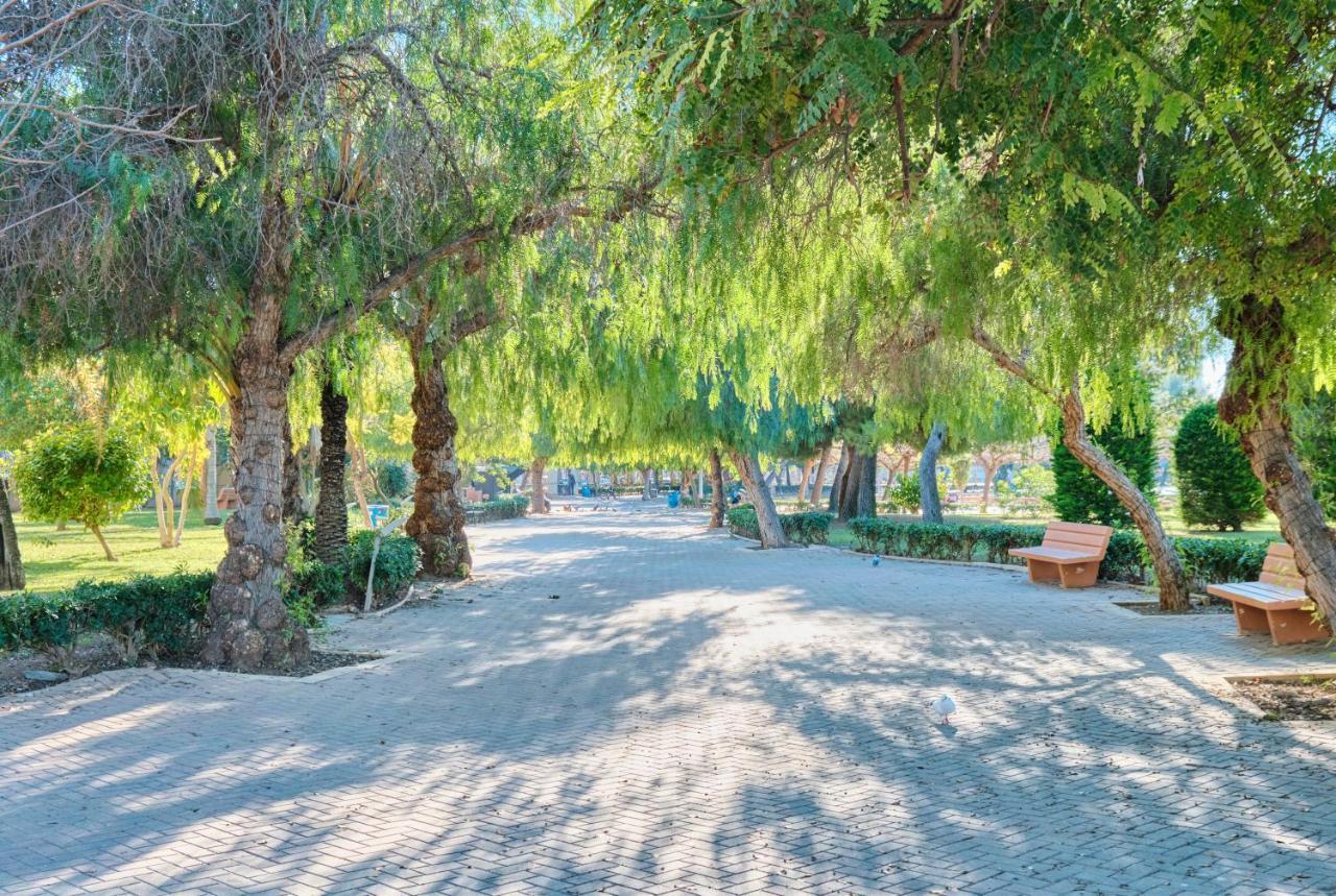 Espanatour Europa Torrevieja Bagian luar foto